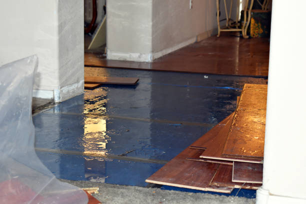 Professional Basement Water Removal technician working in Bradley, IL